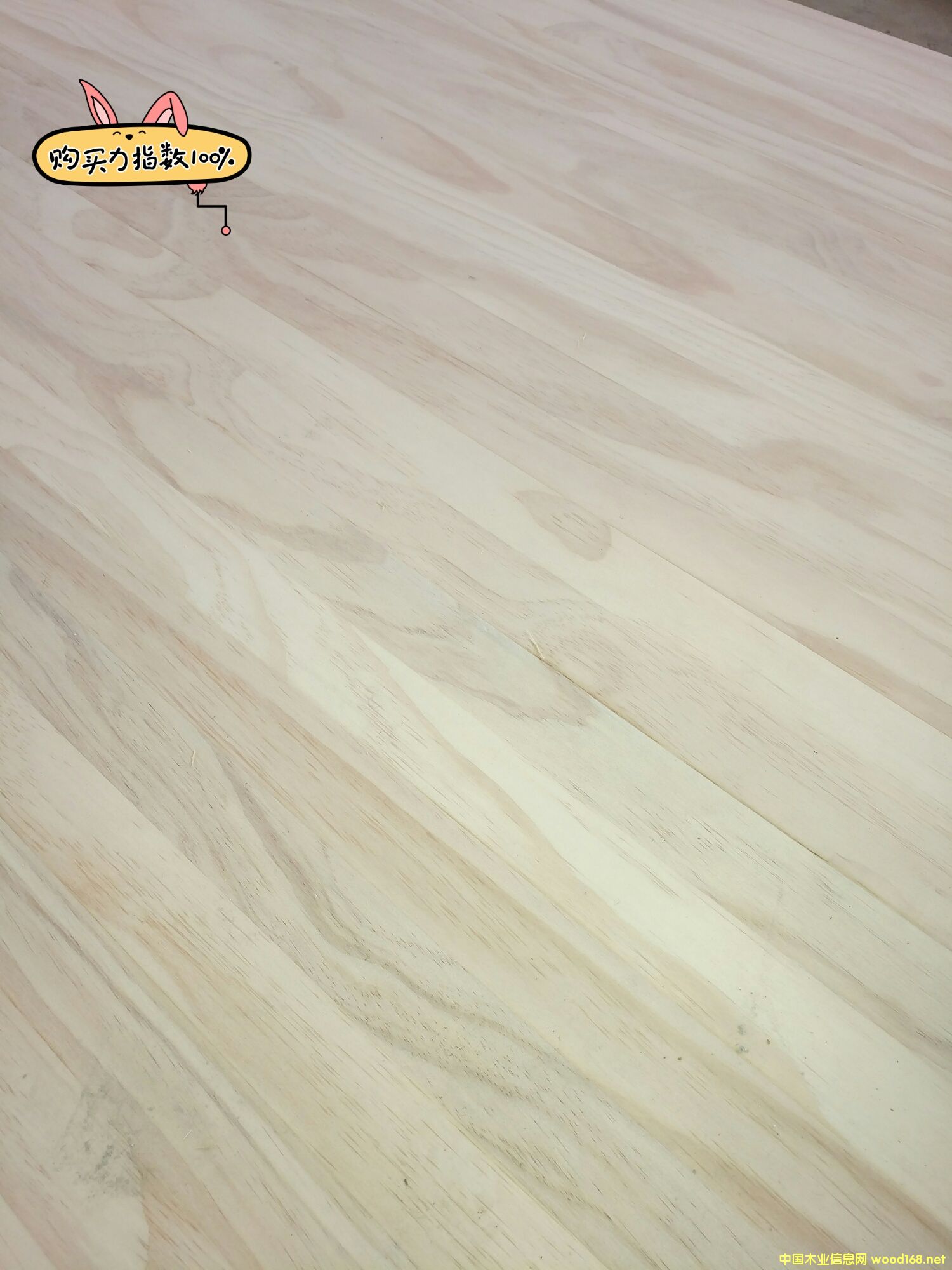 ݗ���ɼ��ɲ�