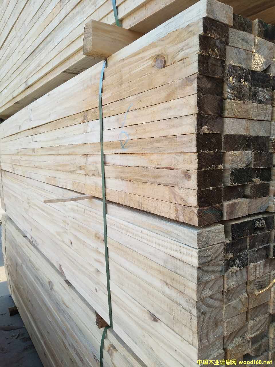 ����ľ��