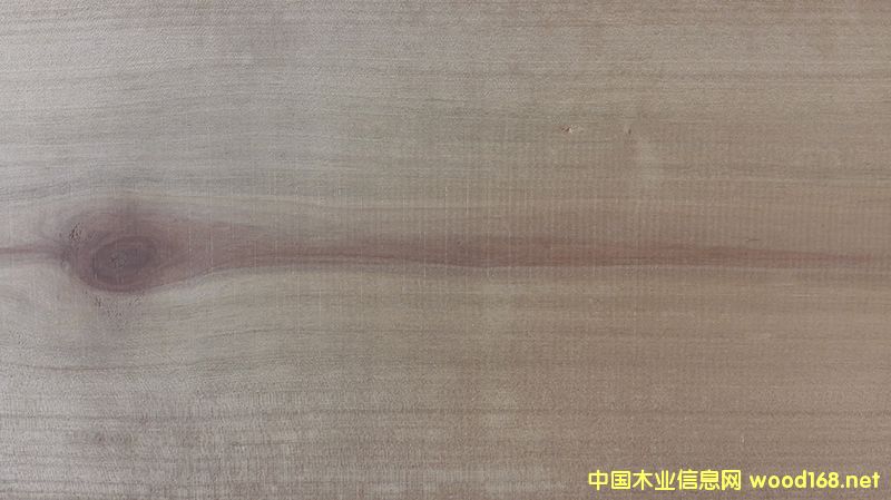 ���̿����ľ�����ٹ��