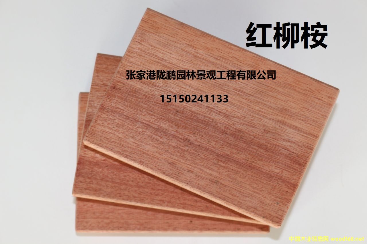 [��] �t����