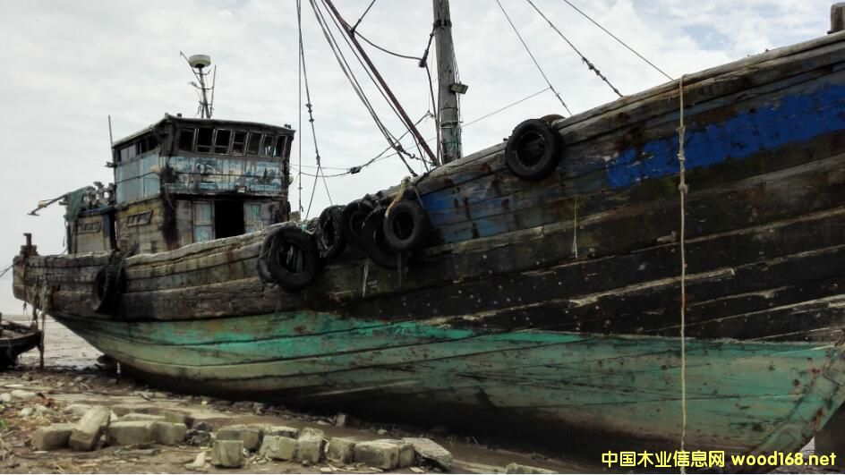 �f��ľ��Ԕ��(x��)��B