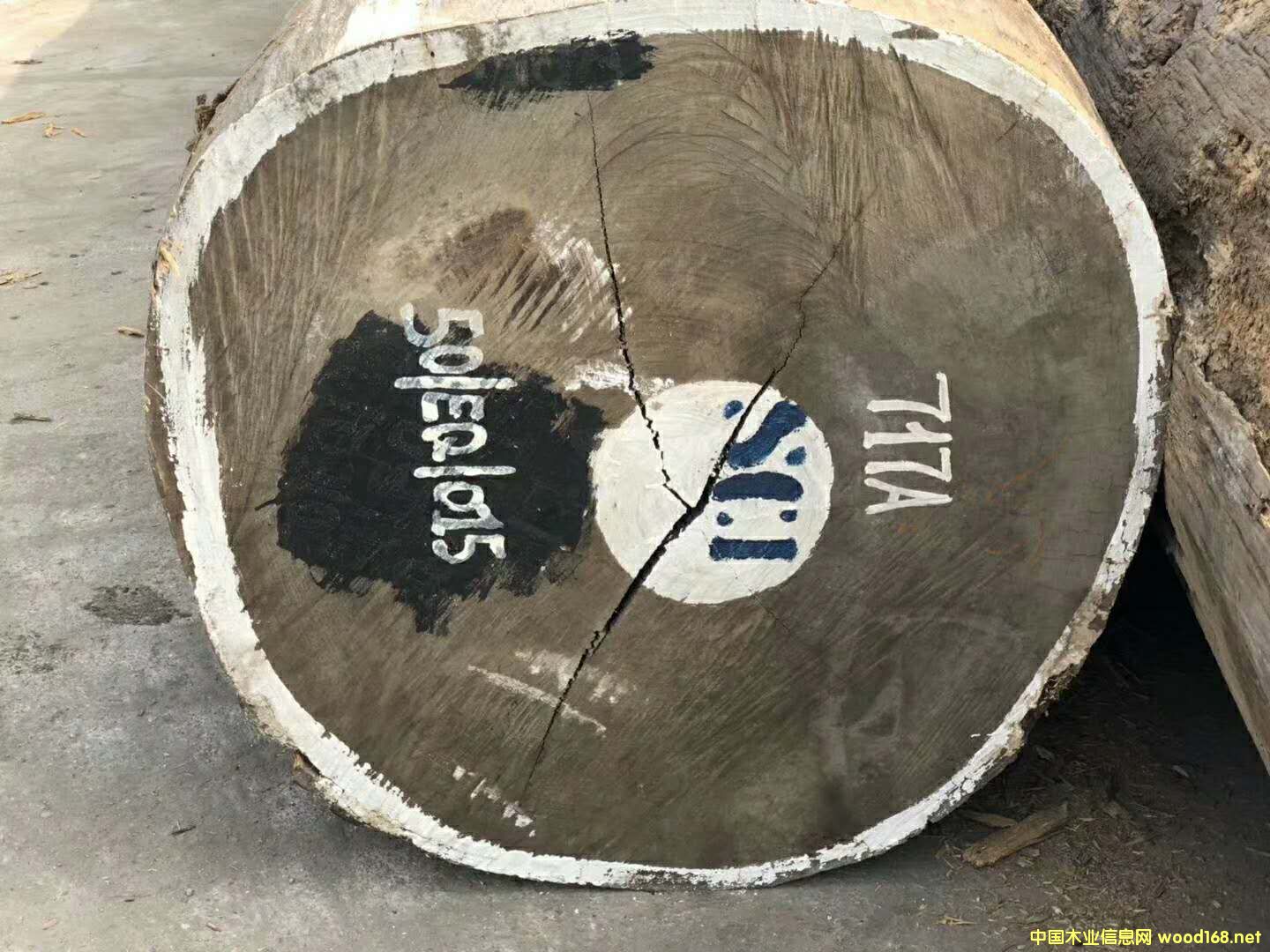 [��] ���ބ������u��ľԭľ��� �����¶�ľ