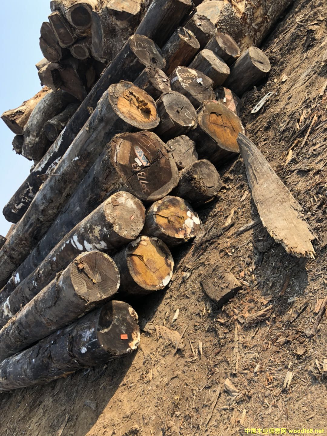 [��] �������}��ԭľ����@�־��^ľ��