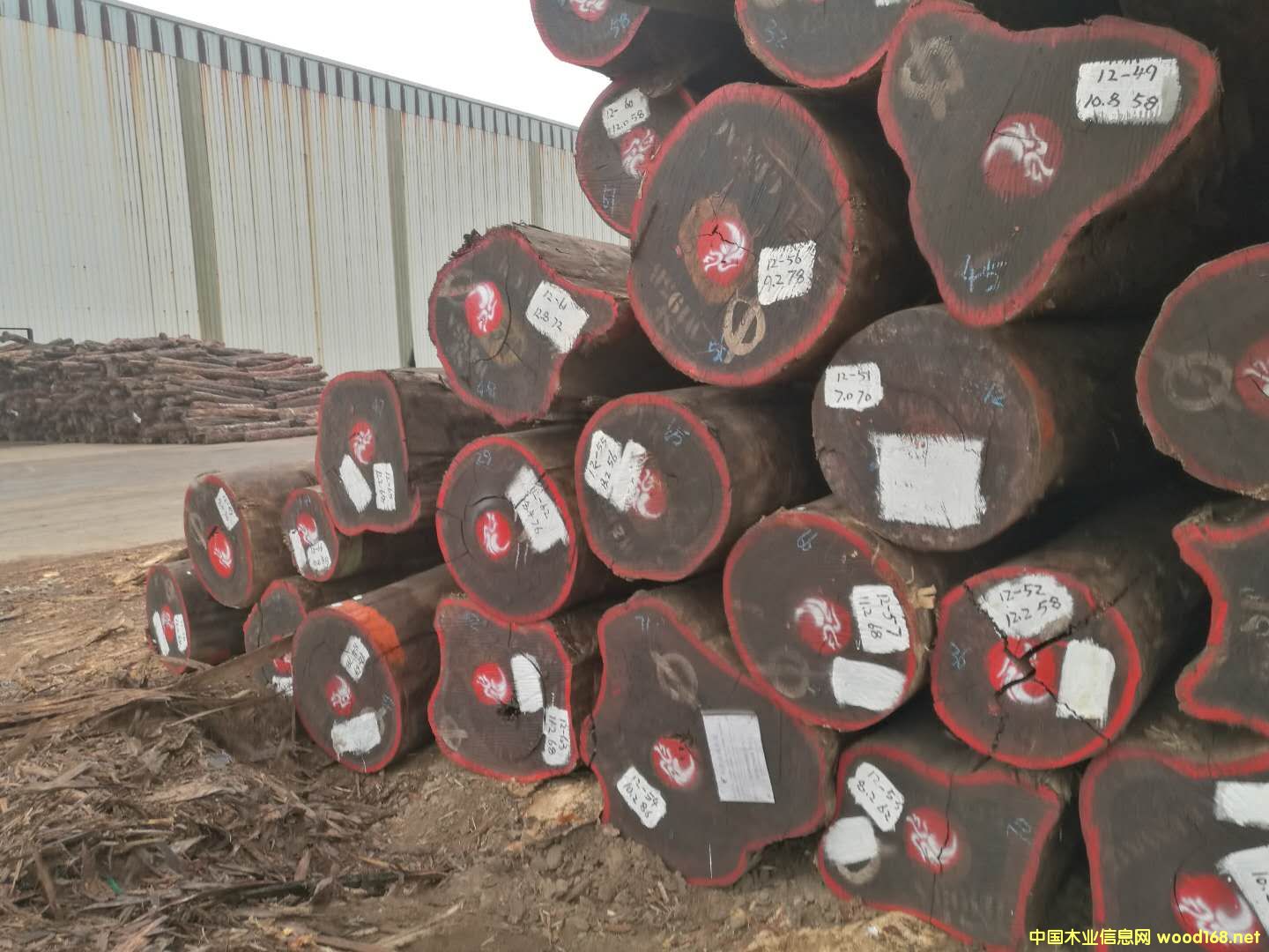 紅花梨的詳細(xì)介紹