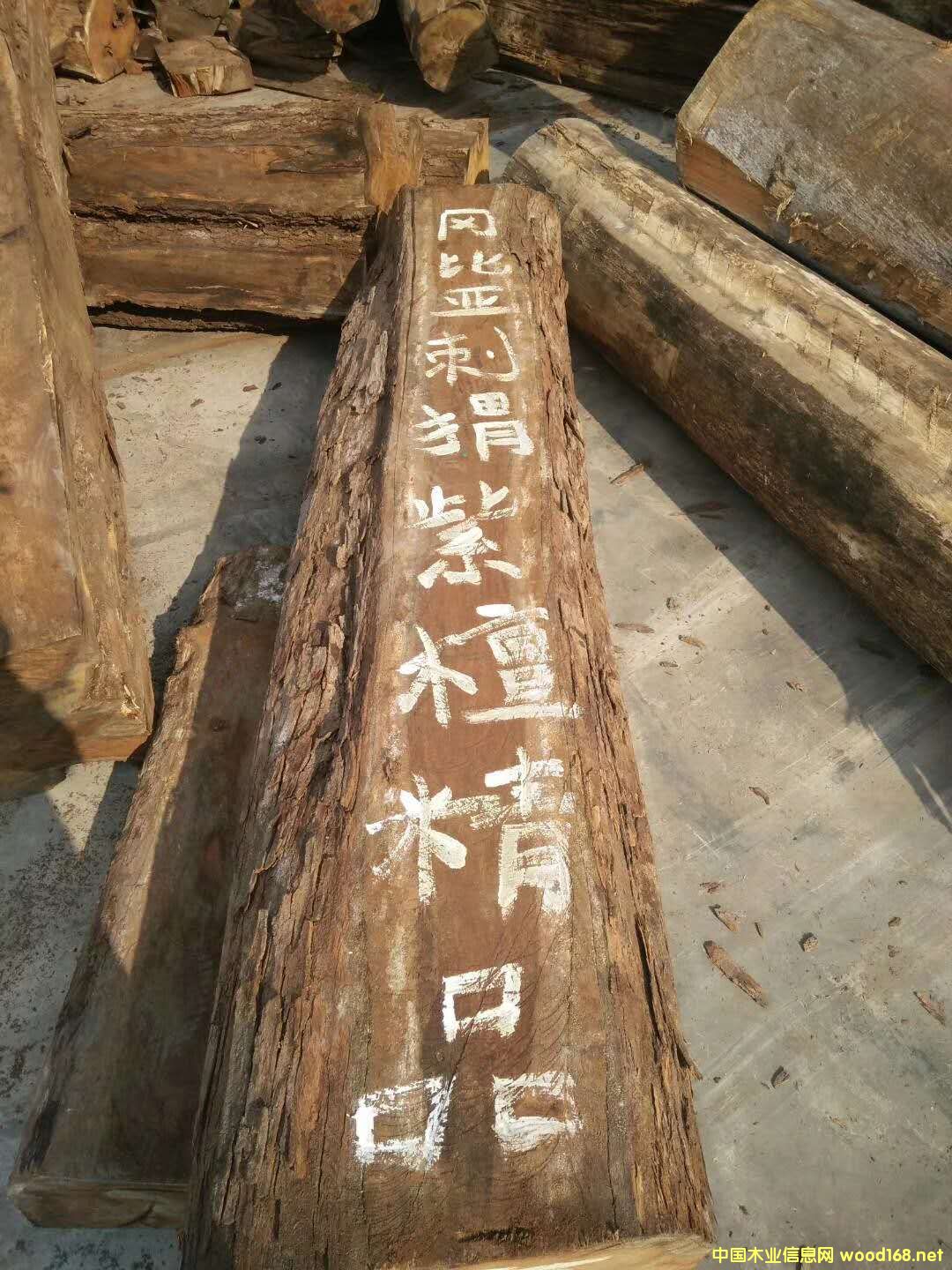 ���ȁ������̴