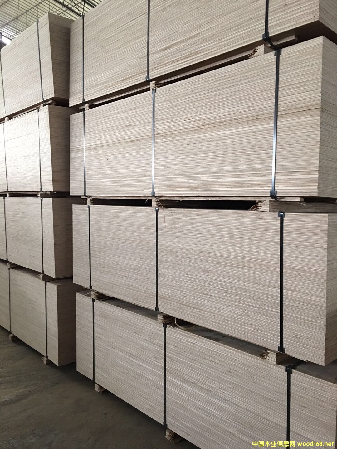 ͬ��������b�����Ј����Ԕ����B