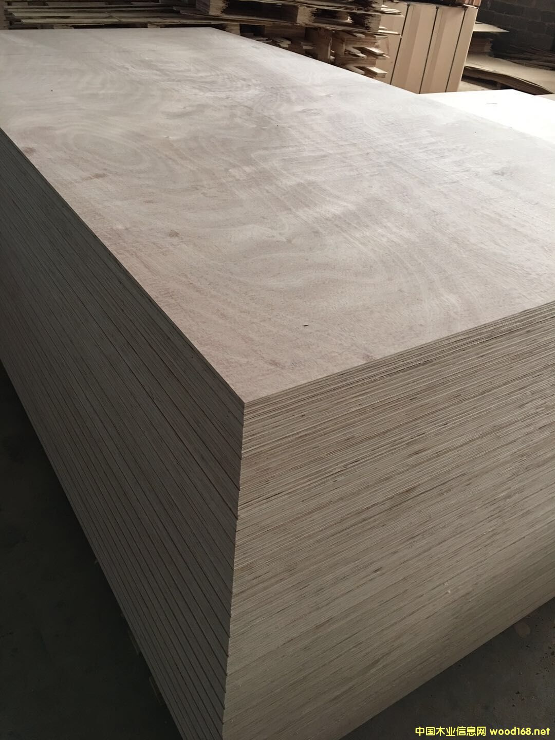  �N����Ӱ��Ԕ����B