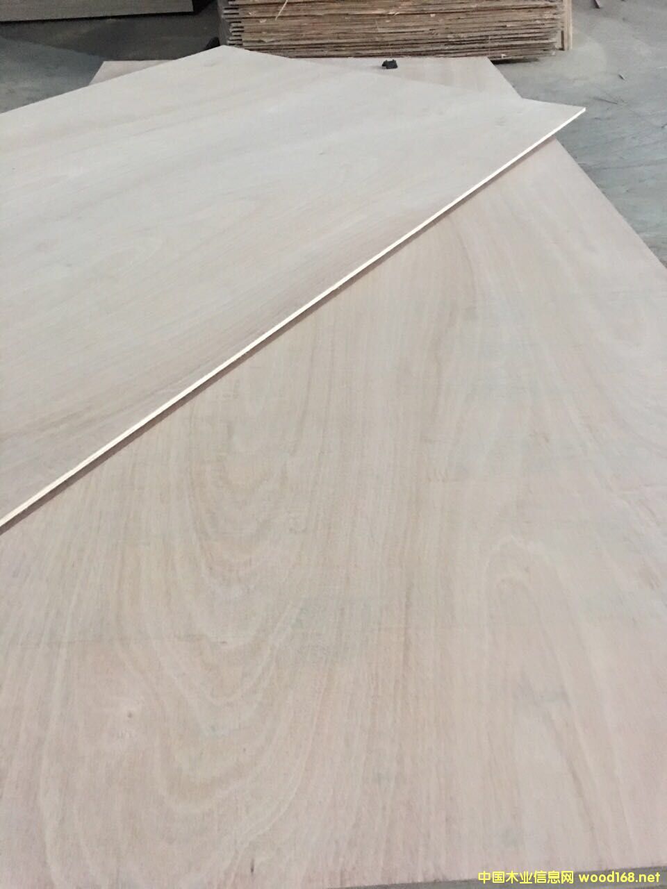 �Ҿ߰��Ԕ����B