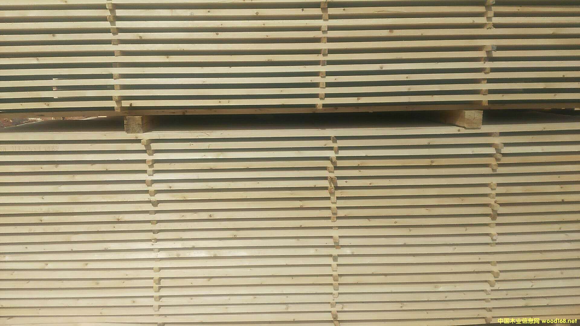   ��Ԕ����B