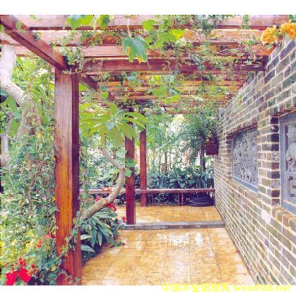 ��(sh��)ľ���^����