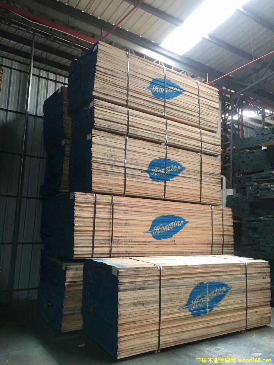 �����t��