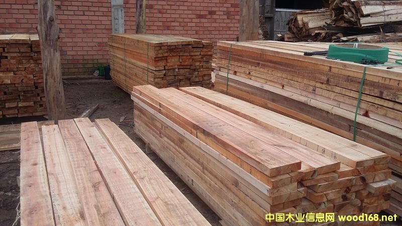 õ����ľ F.A.S �й�(ji��)�c(di��n) AD