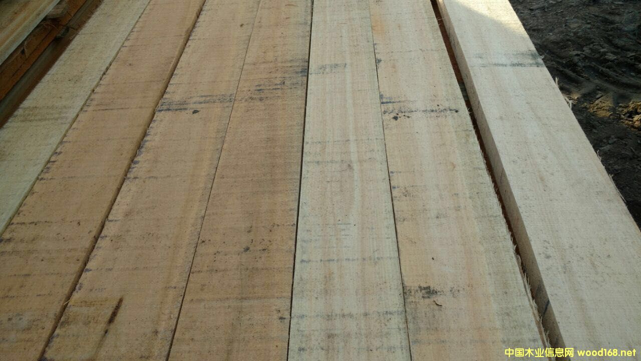 õ����ľ F.A.S 피�(j��) �������o(w��)��(ji��)�c(di��n)