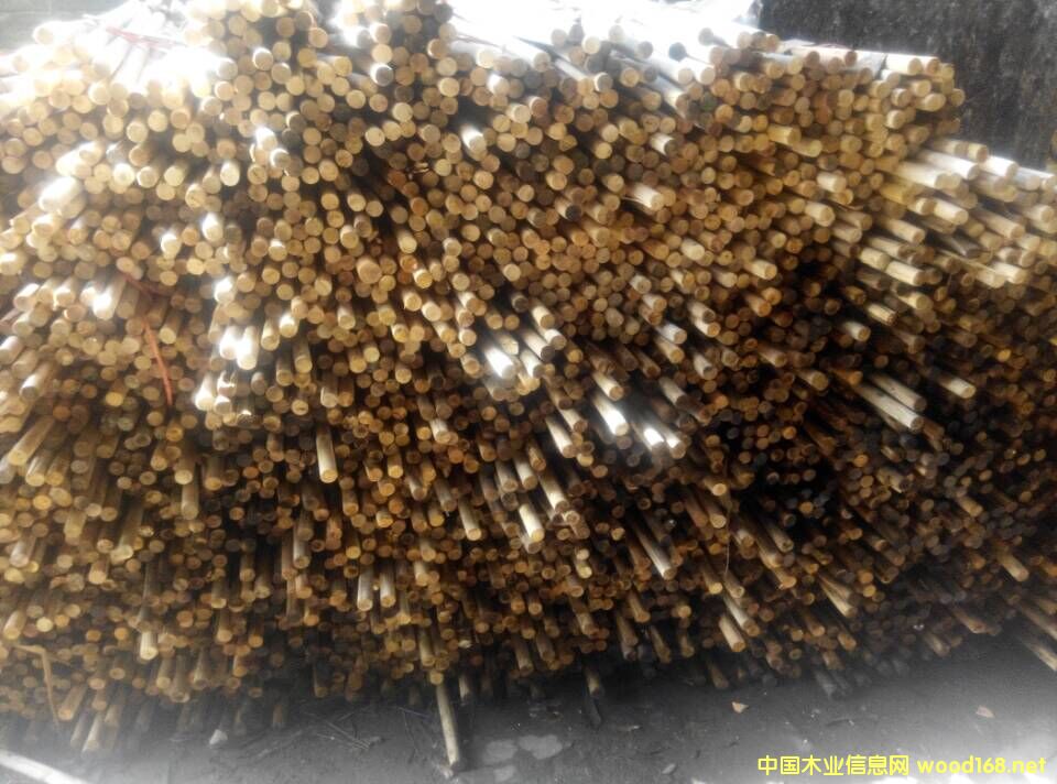 ��ľ�A����Ԕ��(x��)��B