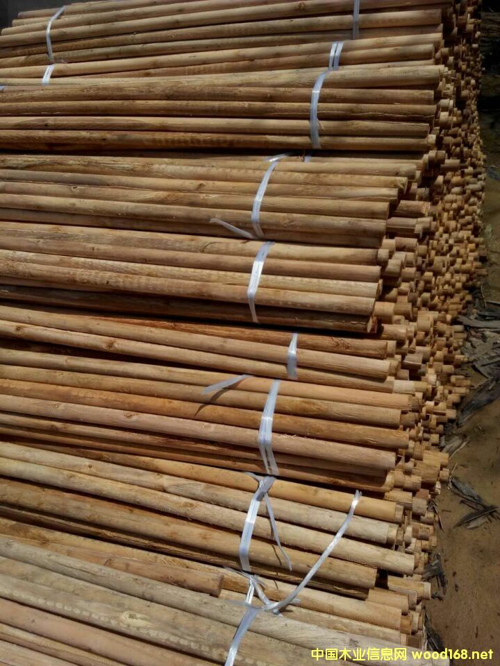 ��ľ����ľо��Ԕ��(x��)��B