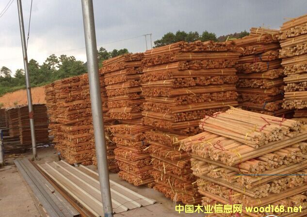 ��ľ�U��ľ����