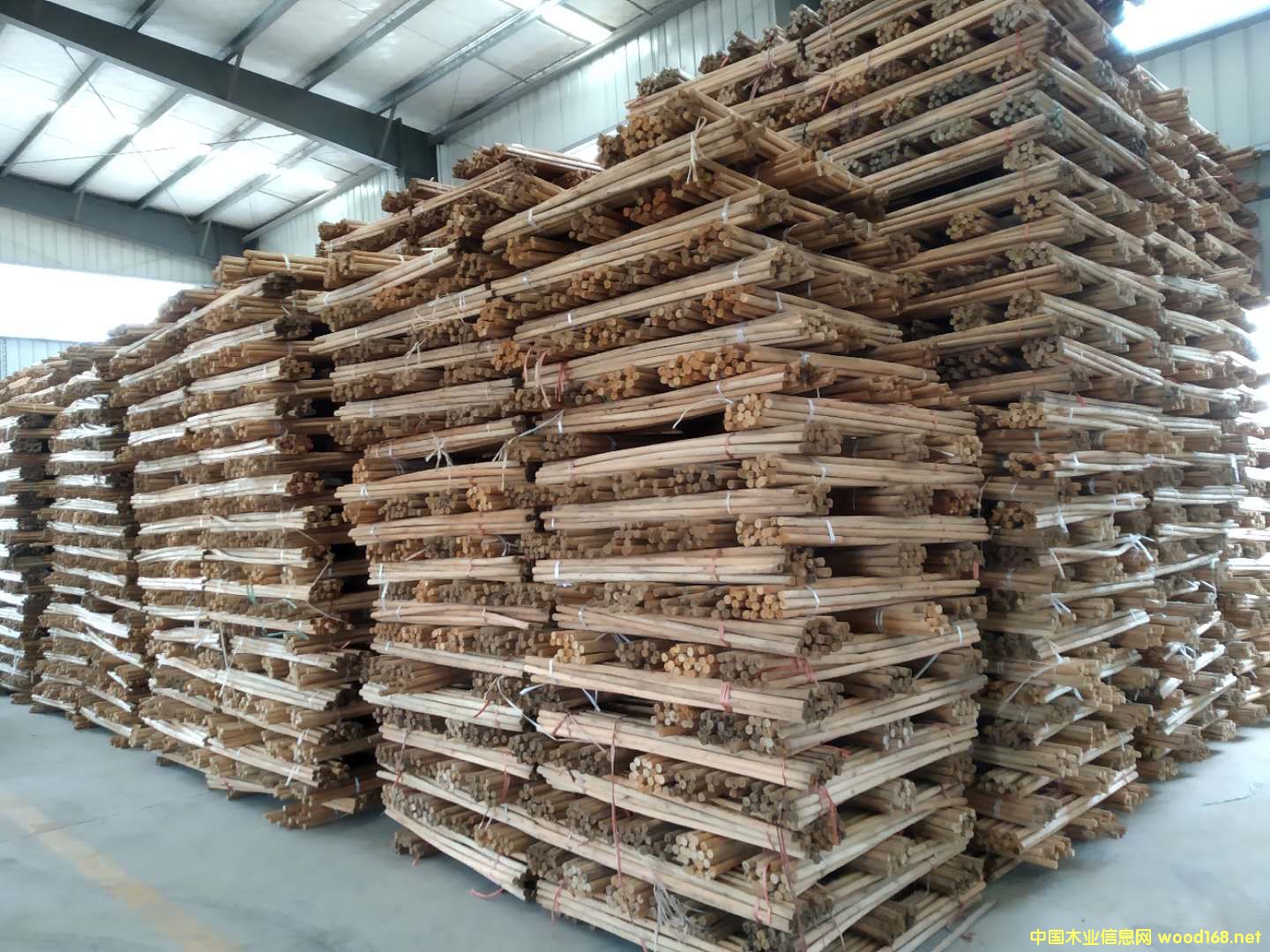 ��ľ����Ԕ��(x��)��B