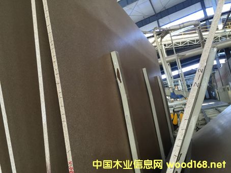 [��] �ܶȰ�oȩ�z