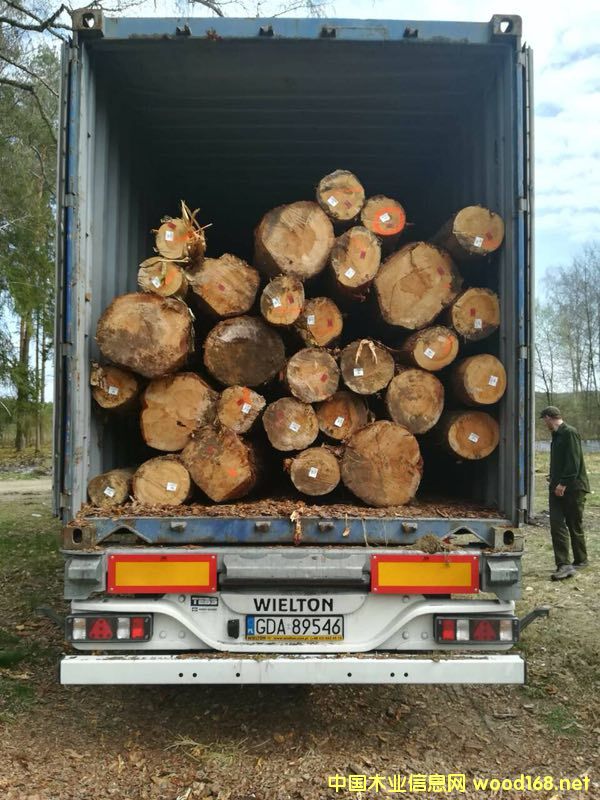 ������ԭľ��؛��Ԕ����B