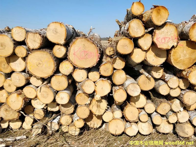 ��ľԭľ��؛��Ԕ����B