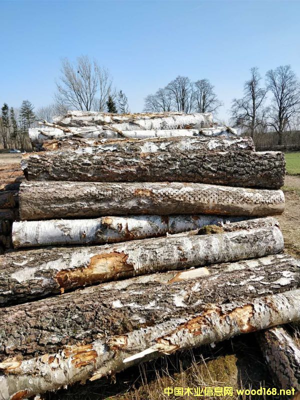 ��ľԭľ��؛��Ԕ����B