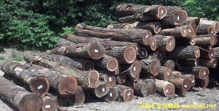 �ں��ҵ�Ԕ����B