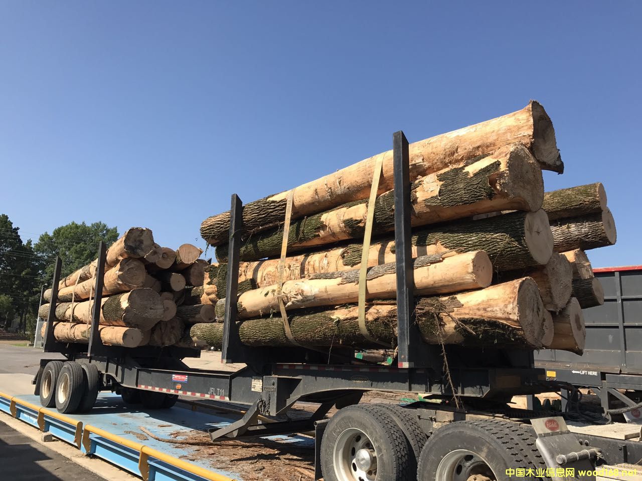 ��Ϟľ��Ԕ����B