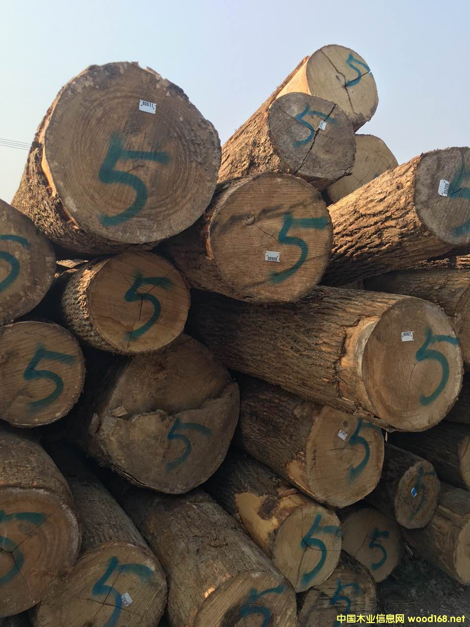 ��Ϟľ��Ԕ����B