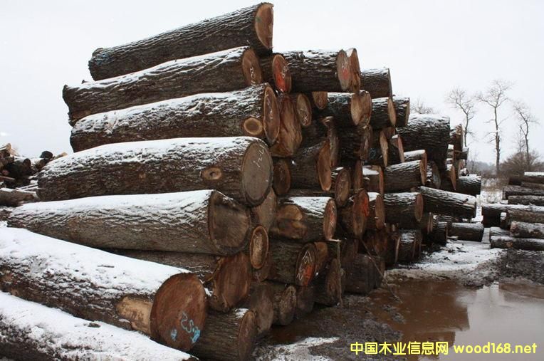 �ں��ҵ�Ԕ����B