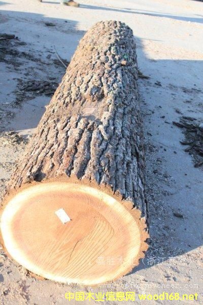 �ں��ҵ�Ԕ����B