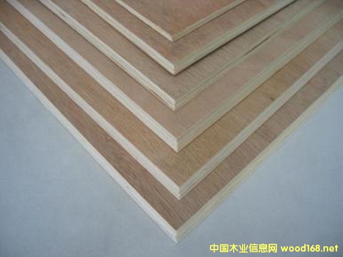 ��(y��u)�|(zh��)12mmE1���ߙn�Ҿ������Ӱ�