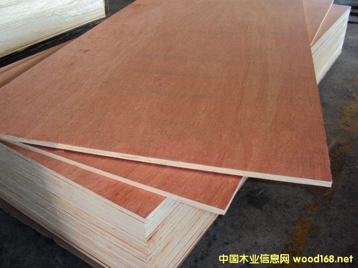 ��(sh��)ľ�N���ö��Ӱ壬�Ҿ߰�