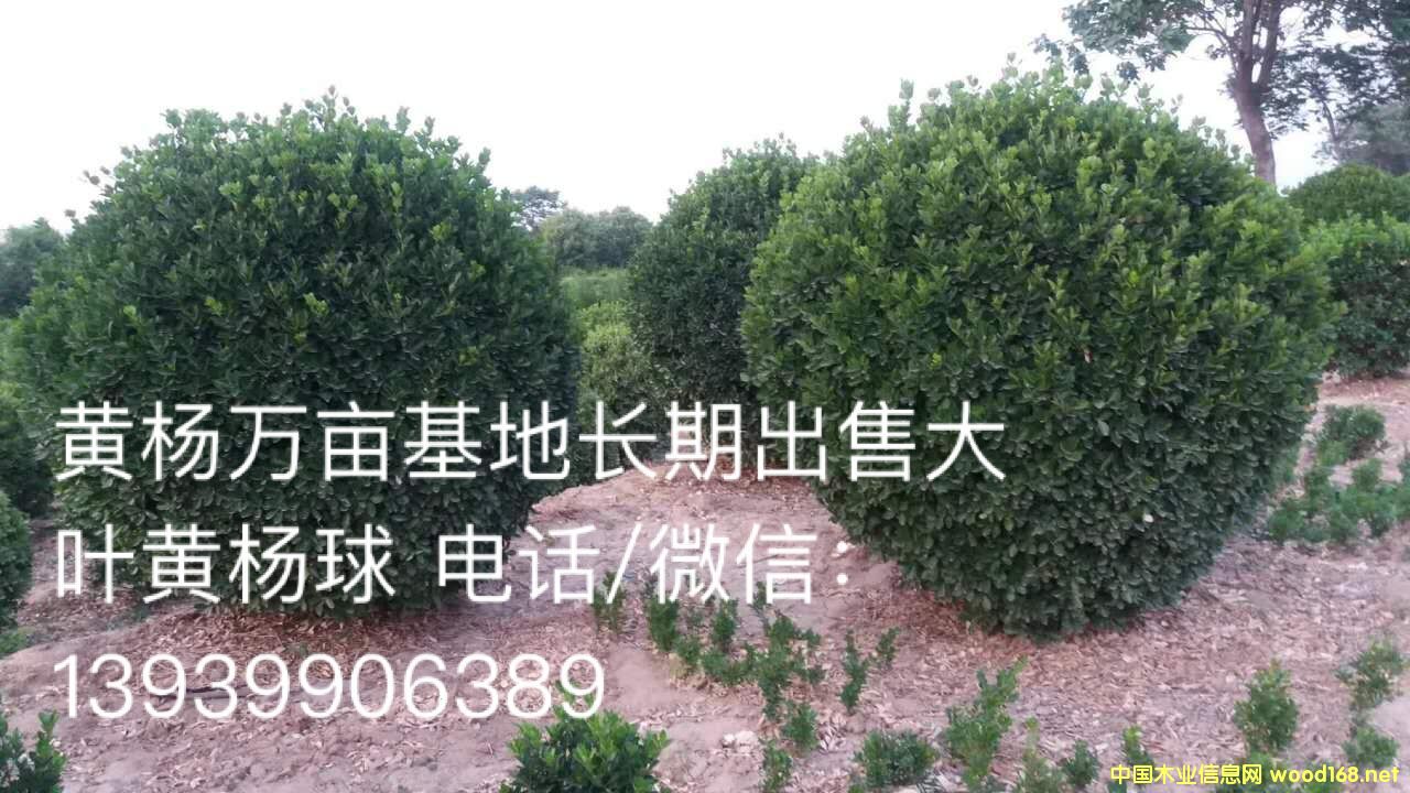 ���~�S��