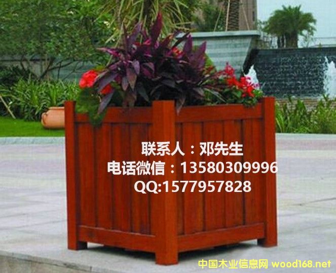 ����ľ�ƻ���