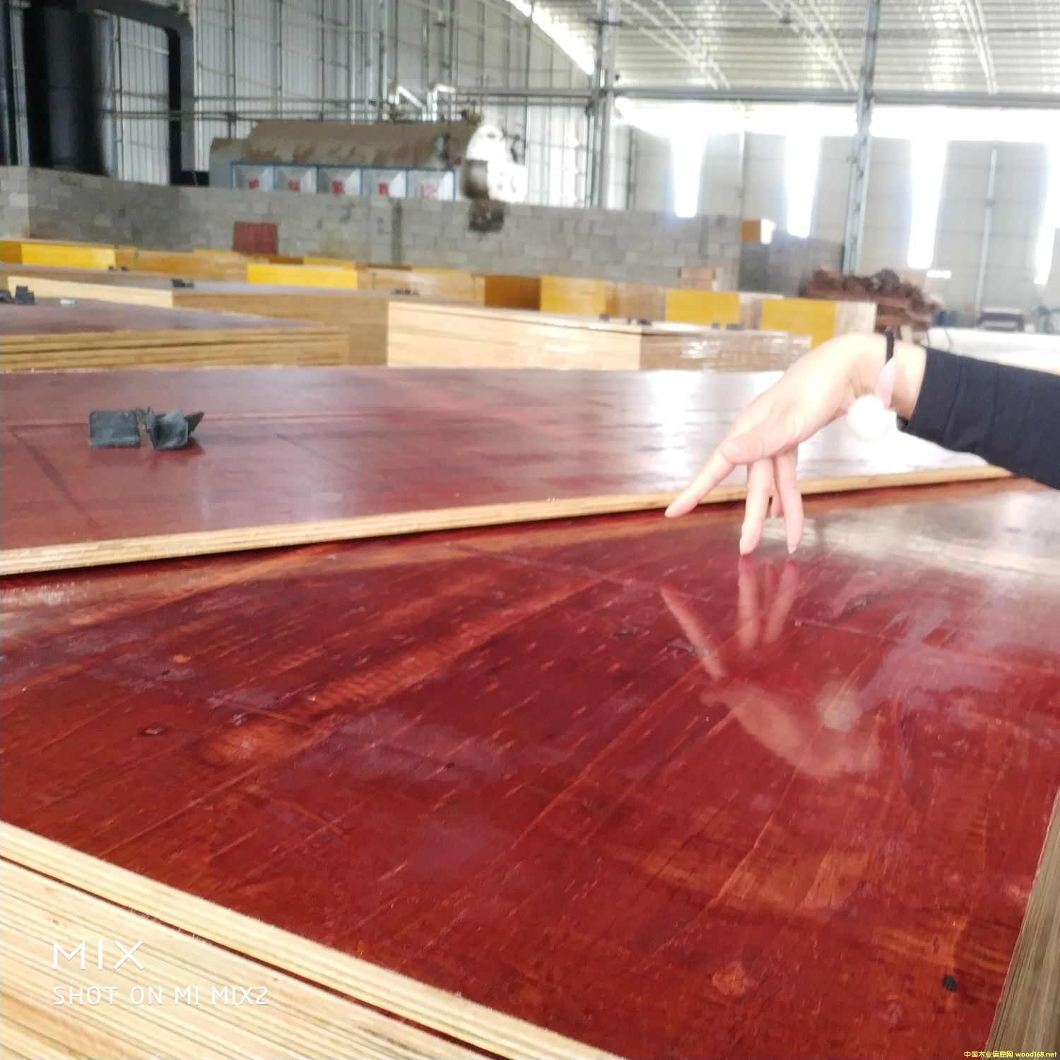 ľģ���Ԕ����B