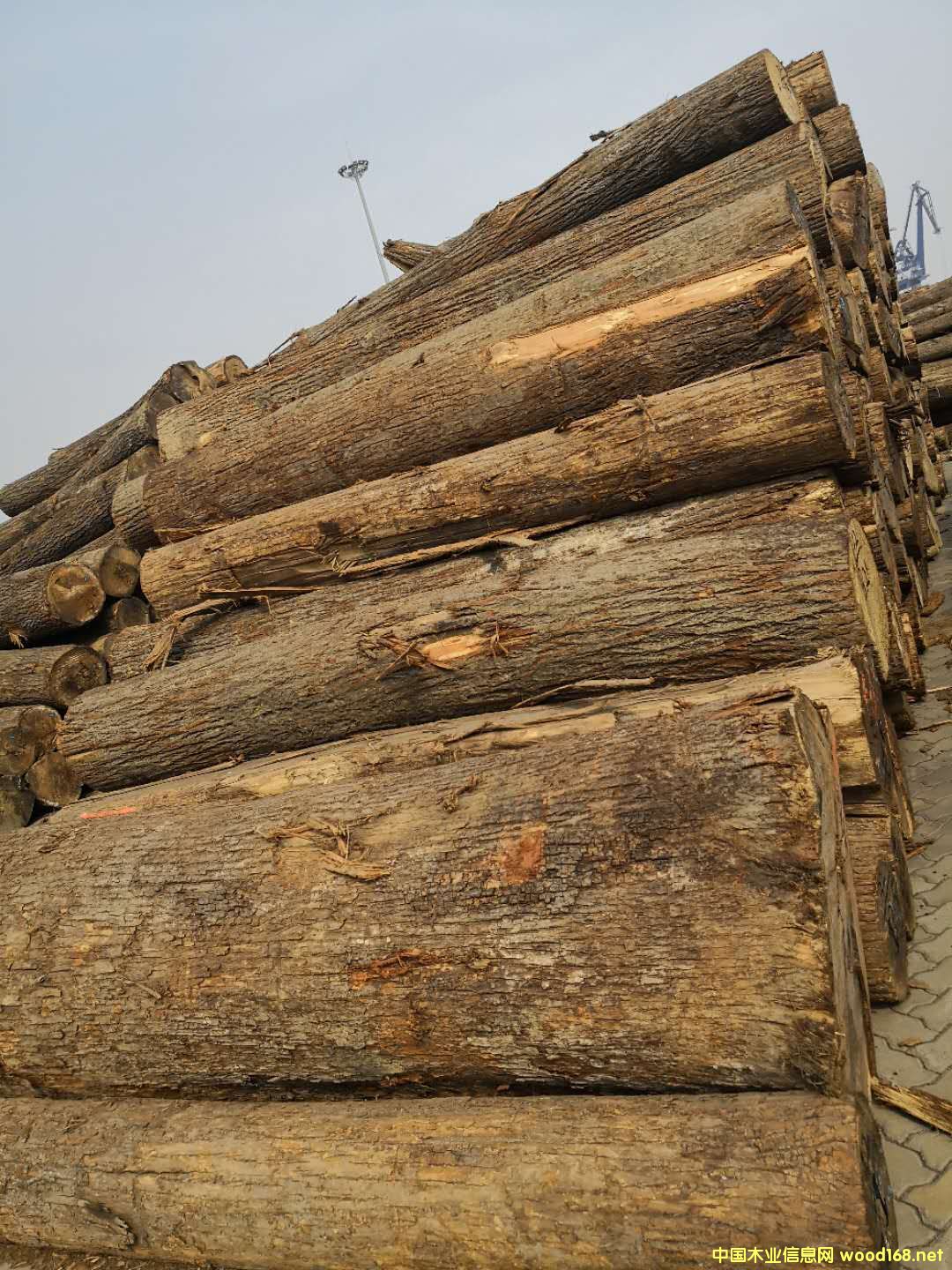 �����ľ��Ԕ��(x��)��B