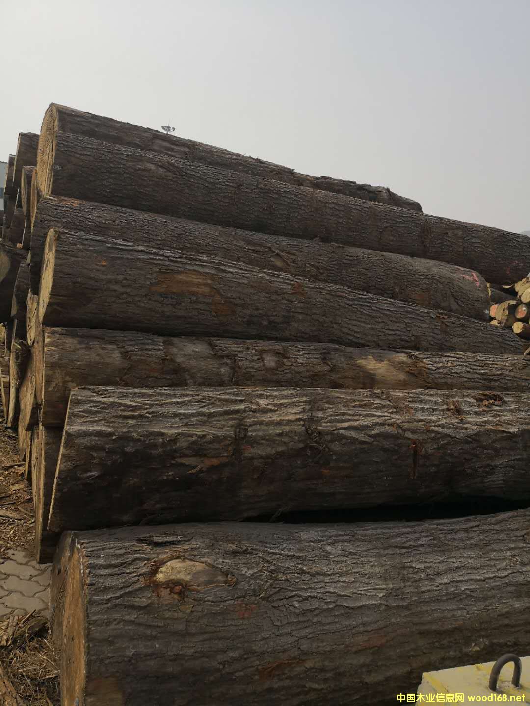 �����t���Ԕ��(x��)��B