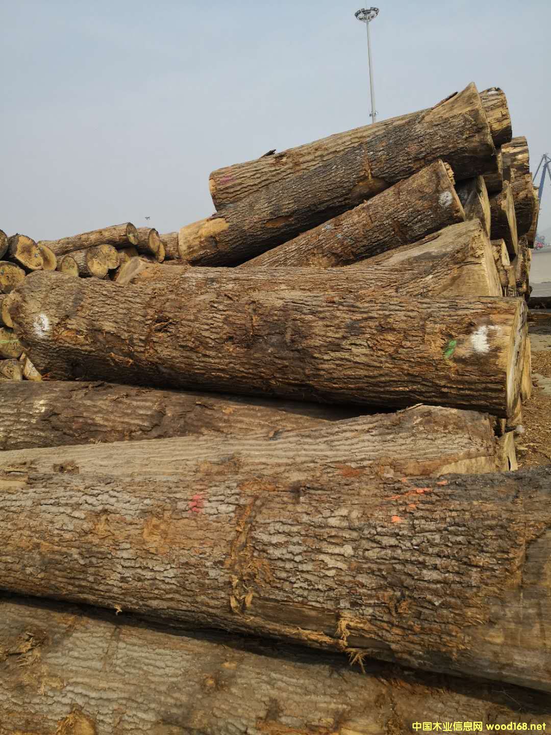 �����t���Ԕ��(x��)��B