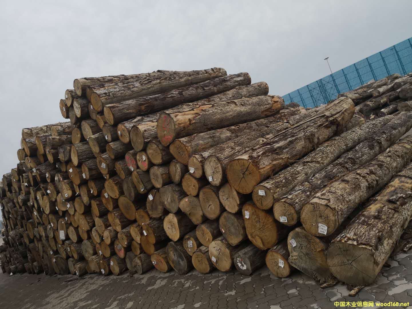 [��] ��������