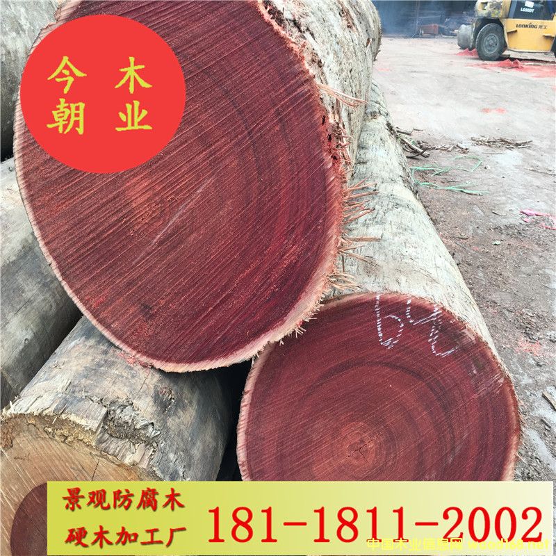 �t��ľ�@�־��^����ľ���̼ӹ��đ���ذ�ľ�������ܛ�ͤ����