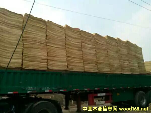 ��ľ��Ƥ��Ԕ��(x��)��B