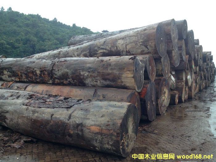 [��] �����M(j��n)�ڻ�����ԭľ���l(f��)