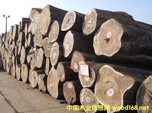 [��] �����M(j��n)�ڻ�����ԭľ���l(f��)