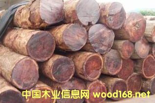 [��] �����M(j��n)�ھ��黨��ľԭľ���l(f��)