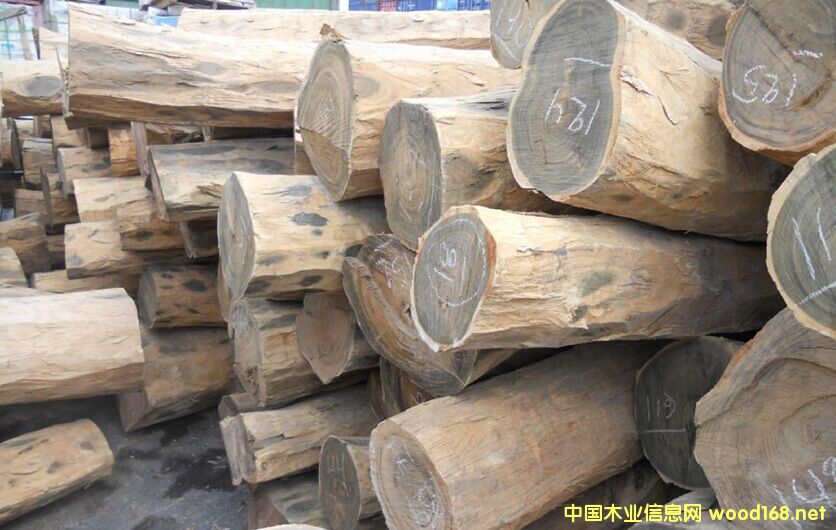 �����M(j��n)�ڰ���͢�G̴ԭľ