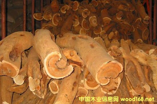 ̴��ľ�����M��ӡ����ɽ̴��