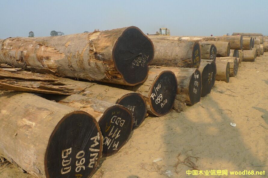 �����M(j��n)�ڷ��޻���ԭľ