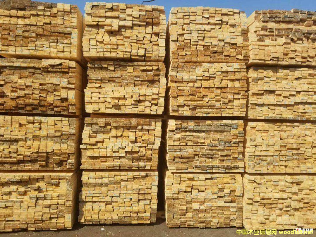 ���_˹���������~���������ɰ������ľ���~Ƭ