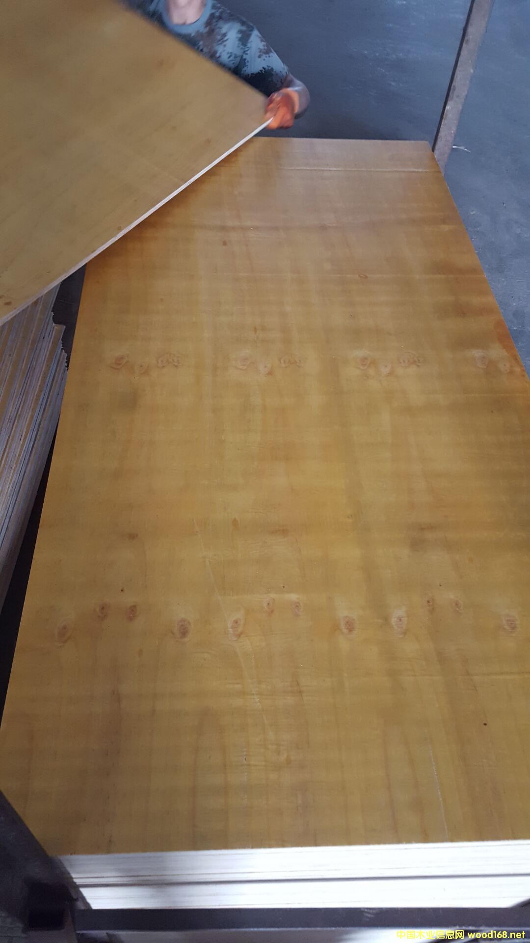 膠板的詳細(xì)介紹