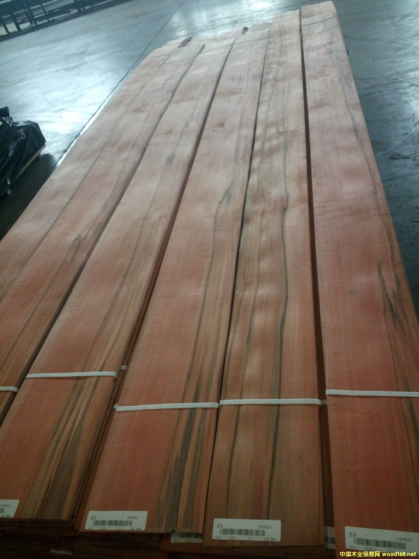 �O��ľ��Ԕ��(x��)��B